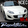 NCEC